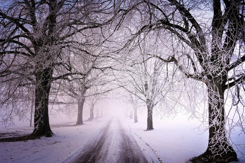 Asociatyvi nuotrauka