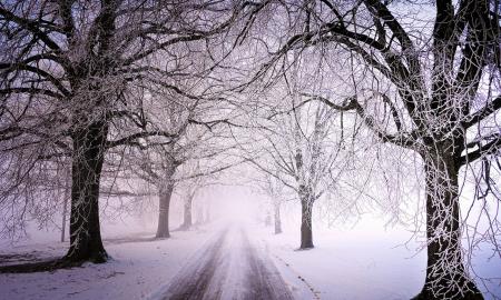 Lietuvoje staigus orų lūžis – sinoptikai perspėja vairuotojus