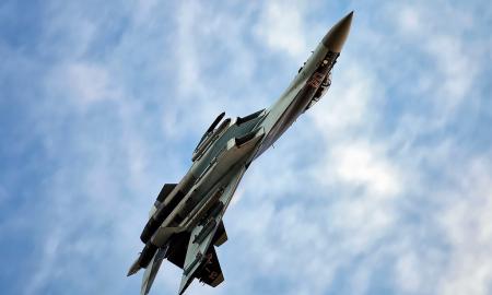 [ŽT] Krito brangus paukštis? Pranešama apie rusų nelaimę