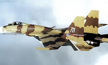 Su-30 smogė Rusijai. „Neatšaukiamas minusas“