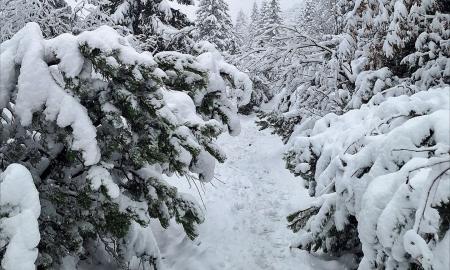 Kryptys dingsta po sniegu: prasideda žiemos chaosas!