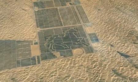 Energetinė revoliucija: jų saulės sektorius iššovė taip, kad prognozės tapo juokingos