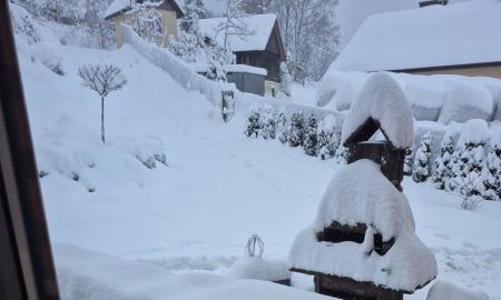 Sniego smūgis Lietuvos kaimynei: tūkstančiai be elektros (Foto)