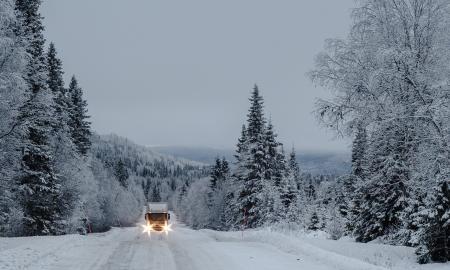 Suledėję miestai ir desperatiški riksmai. Šalčio apokalipsė Europoje