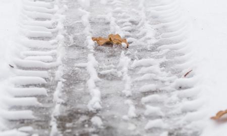 Gamta rengia siurprizą: Kalėdos 2025-aisiais gali nustebinti net sinoptikus