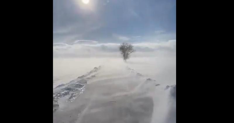 Asociatyvi nuotrauka