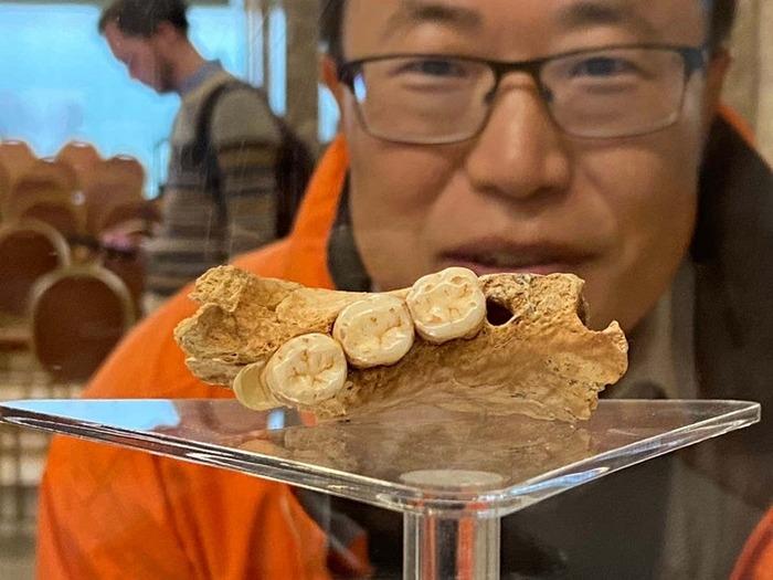 Bae tiria Serbijoje rastą žmogaus fosiliją, kuri gali priklausyti 𝑯𝒐𝒎𝒐 𝒃𝒐𝒅𝒐𝒆𝒏𝒔𝒊𝒔 rūšiai.