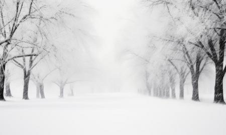 Neįtikėtinas šaltis: Rekordas krito po 44 metų