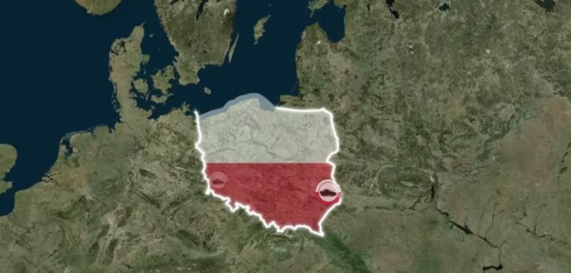 Asociatyvi nuotrauka