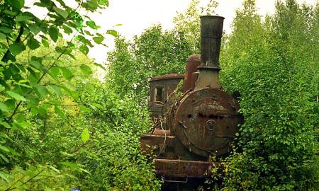 „Mirties kelias“ Sibire. Pasaulis pašiurpęs. -50 °C pragare galvas padėjo lietuviai (Foto, Video)