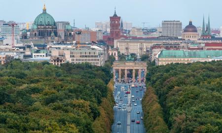 Medis kas keletą metrų. Europos sostinė ruošiasi žaliajai revoliucijai