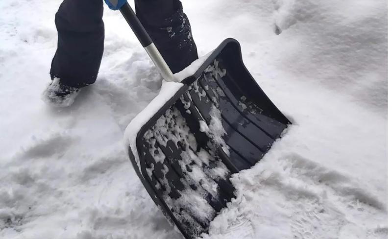 Asociatyvi nuotrauka