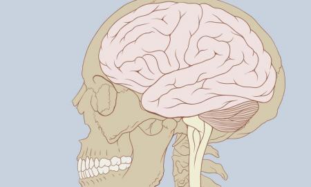 Kaip smegenys nusprendžia, ką prisiminti, o ką pamiršti 