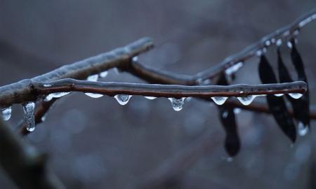Staigus posūkis. Pavasaris gruodį?