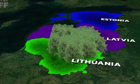Vienas sprendimas — ir Baltarusija klūpės: Ukrainos generolas pataria Lietuvai