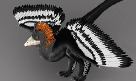 Dinozaurai turėjo akinančias spalvas? Sensacingas tyrimas viską apverčia aukštyn kojomis