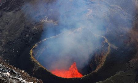 Jie gyvena ten, kur viskas kita – žūsta. Naujas atradimas stebina pasaulį