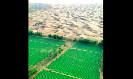Jie pavertė milžinišką dykumą žaliu rojumi. Šimtmečio projektas stulbina (VIDEO)