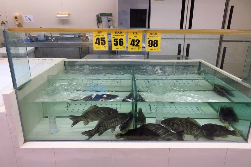 Asociatyvi nuotrauka