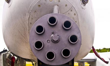 Priimtas karinis įstatymas. Kas laukia gimusių po 2008-ųjų? (Video)