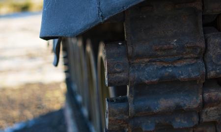 Kaip žaibas iš giedro dangaus. Žalia šviesa Ukrainai