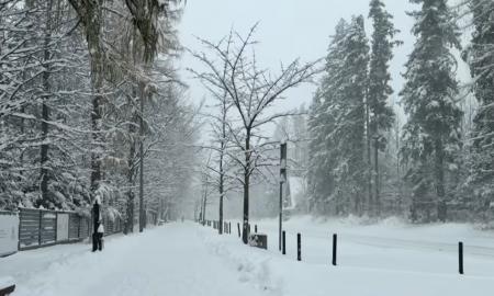 –30 °C. Arktinė invazija prasidėjo (Video, žemėlapis)