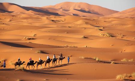 Kas nutiktų, jei išnyktų visos dykumos Žemėje?