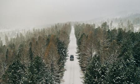 Taip neturėjo būti. Skandinavijos mobilumo modelis griūva