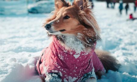 „Kažko tokio seniai nebuvo.“ Meteorologai: staigmena per Naujuosius
