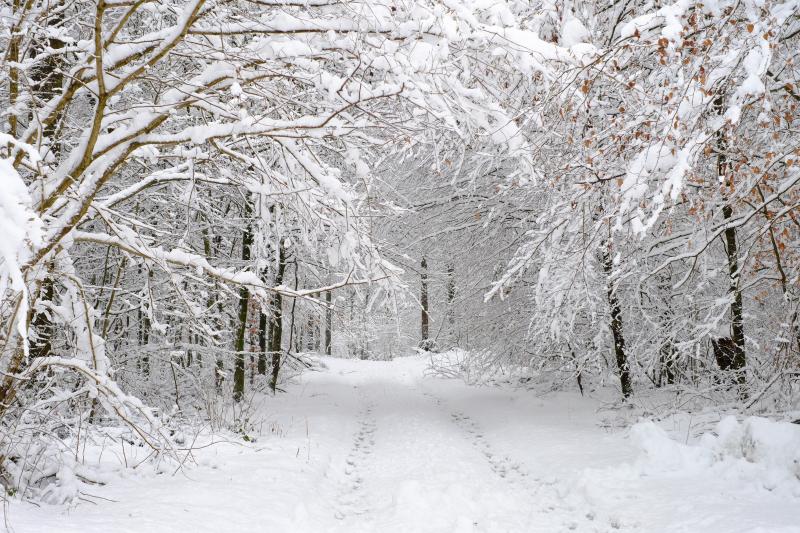 Asociatyvi nuotrauka