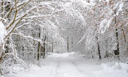 El Niño grįžta su trenksmu. Kelia naują sąmyšį. Naujausios meteorologų prognozės