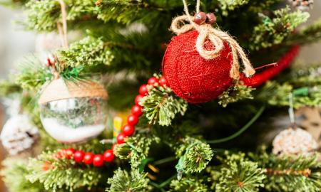 Perkate gyvą Kalėdų eglutę? Saugokitės šių padarų