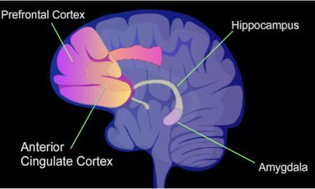Ar esate tai patyrę? Smegenys prisimena įvykius, kurie iš tikrųjų neįvyko 