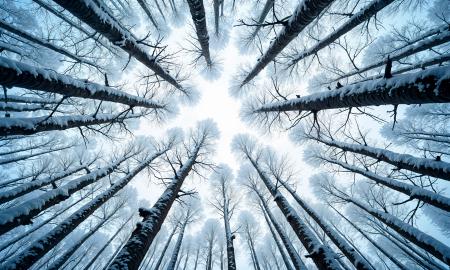 Skandinavijos blokada: lemiamos dienos, kai paaiškės tikrasis sausio veidas