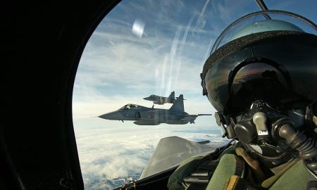 150 plieninių paukščių. Jie jau pasiruošę: slaptas šuolis į frontą (Foto)