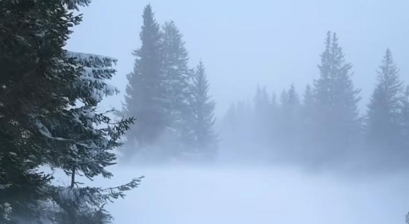 Asociatyvi nuotrauka