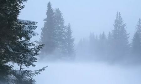 Nuo nulio iki 30 cm per parą: staigiausia žiemos ataka istorijoje