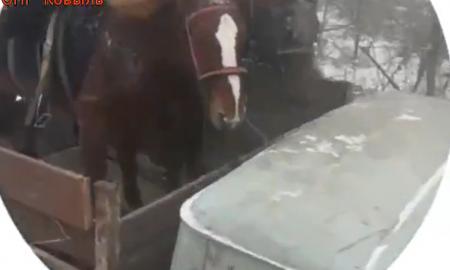 [ŽT] Rusai patys negali patikėti, iki ko nusirito. Rusijos Armija yra istorija (Video)