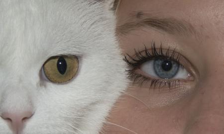 Kodėl katė pasirenka savo „mėgstamiausią žmogų“? Tai visai ne dėl maisto