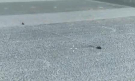 [ŽT] Kaip komedijoje. Rusų šturmo grupė įstrigo lauko viduryje (Video)