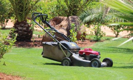 Ar verta žiemą išpilti benziną iš vejapjovės?  Ekspertai pateikė galutinį atsakymą