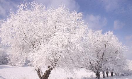 [ŽT] Pasiilgusiems žiemos. Naujųjų metų naktį minus 27 laipsniai 