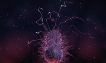 Grėsmė iš Azijos: šalis kuria chemines ir biologines galvutes raketoms