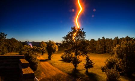 Nesodinkite šių medžių šalia savo namų. Jie pritraukia žaibą!
