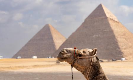 Košmariškos atostogos Egipte: sukčiai rado naują būdą apgauti turistus