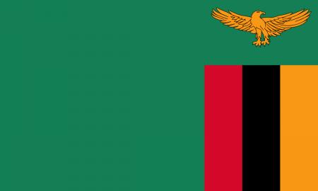 Padedama Kinijos. Afrikos šalis sudarė sandorį. Smūgis JAV