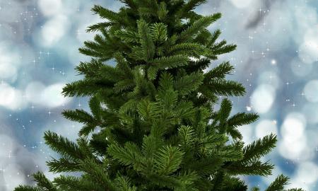 Ką daryti su Kalėdų eglute po švenčių? Dauguma žmonių daro šią klaidą