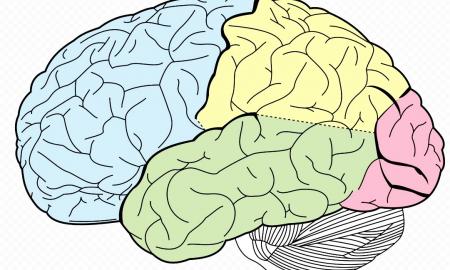 Tai bent! Galite pagerinti atmintį daugiau nei 200 procentų 