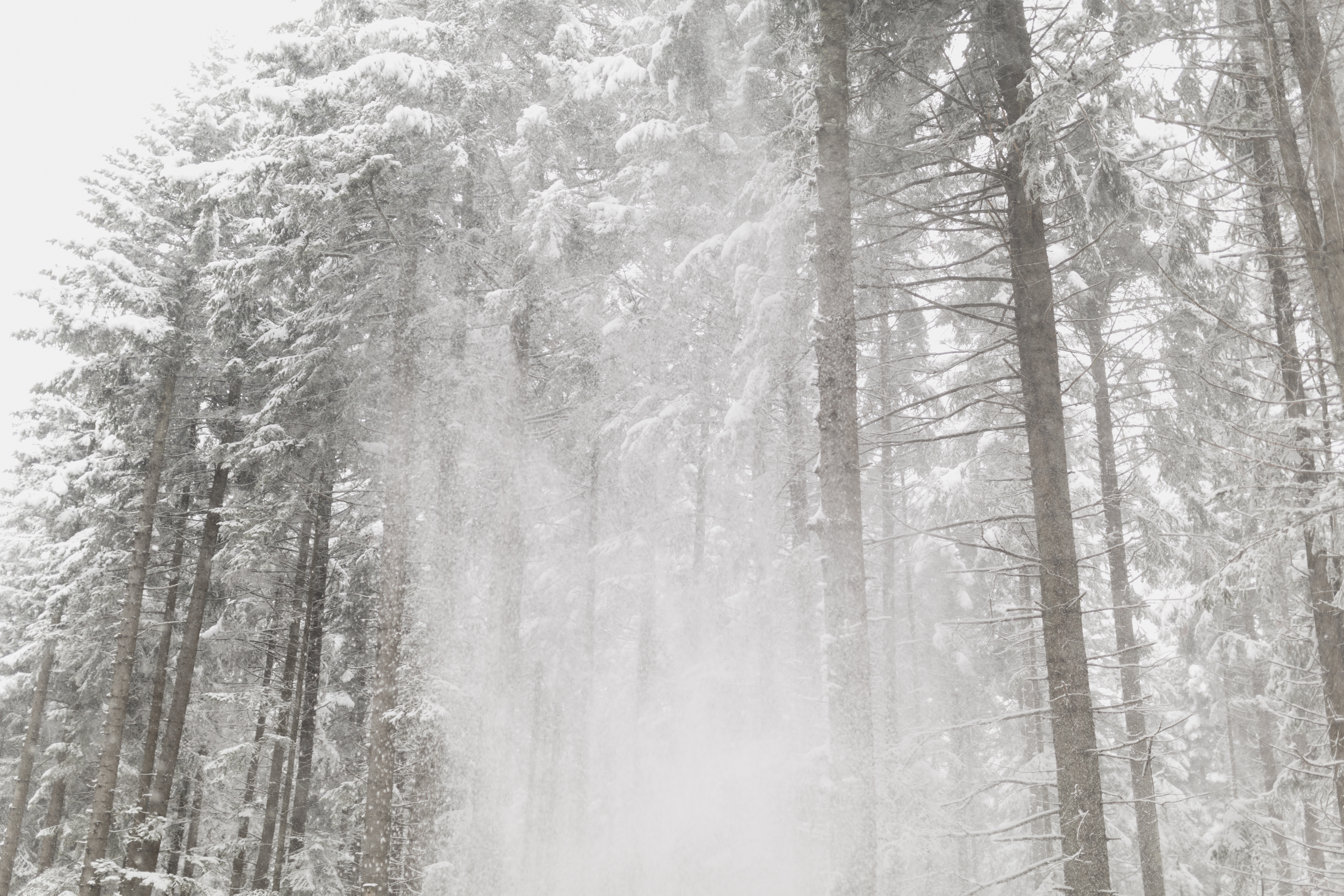 Nuo -25 °C iki... Sekite termometrą – jis išprotės!