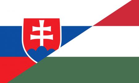 Naujas įstatymas Slovakijoje. Vengrija pasipiktino. „Kaltina išdavyste“